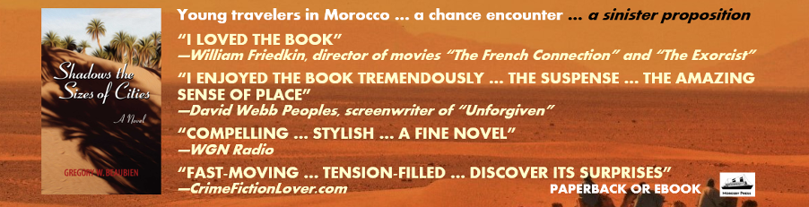 Shadows the Sizes of Cities a Morocco thriller novel by Gregory Beaubien ad showing book cover and praise from critics over Sahara desert scene